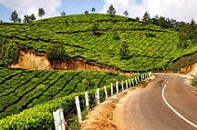 A Relaxing holiday to Kerala A Relaxing holiday to Kerala